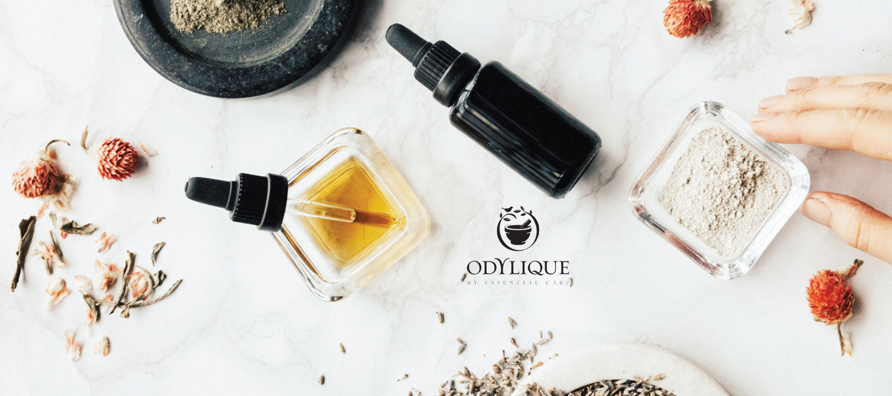 Odylique by Essential Care - FREE UK Delivery - Onlynaturals